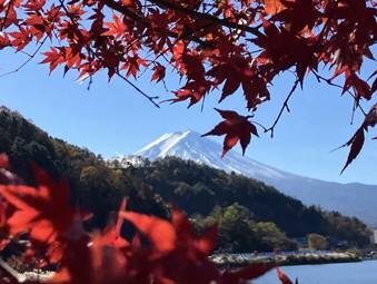 富士山_富士山.jpg