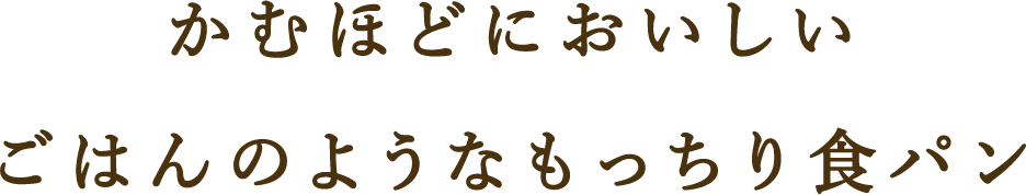 かむほどにおいしい　ごはんのようなもっちり食パン